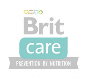 Brit