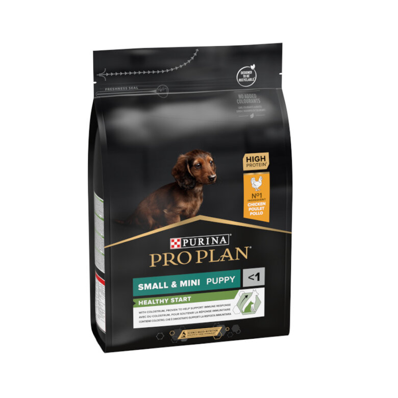 Imagen de Pro Plan Puppy Small y Mini Pollo pienso para perros
